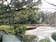 Kasuga Taisha Shrine Garden