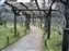 Kasuga Taisha Shrine Garden