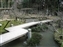 Kasuga Taisha Shrine Garden