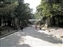 Kasuga Taisha Shrine Approach Path