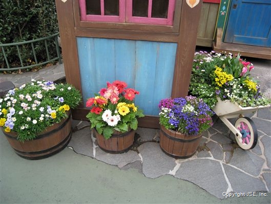 Click for large image