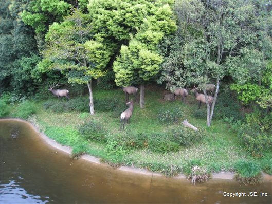 Click for large image