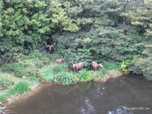 Click for large image