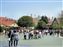 Toontown