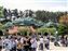 Toontown