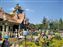 Toontown