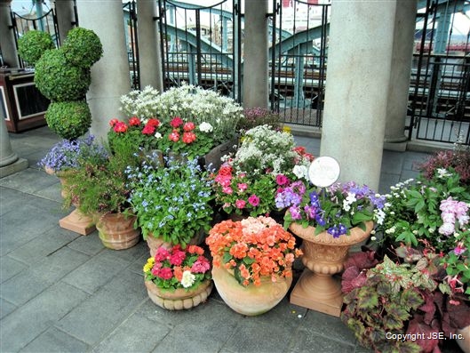 Click for large image