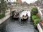 Mediterranean Harbor Venetian Gondolas