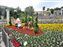 Mediterranean Harbor Spring Carnival Decorations