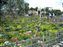 Mediterranean Harbor Spring Carnival Decorations