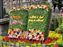 Mediterranean Harbor Spring Carnival Decorations