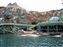 Mysterious Island