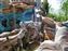 Mermaid Lagoon