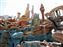 Mermaid Lagoon
