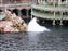 Mysterious Island