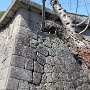 Hakodate - Fort Goryokaku