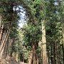 Hiraizumi - Chuson-ji
