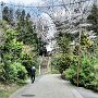 Hiraizumi - Takadachi