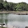 Hiraizumi - Motsu-ji Temple Garden - Bridge Foundations