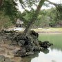 Hiraizumi