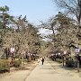 Hirosaki Park