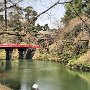 Hirosaki Park - Castle Moat