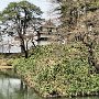 Hirosaki Park - Moat & Tower
