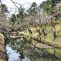 Hirosaki Park - Castle Moat