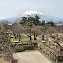 Hirosaki Park - Castle Tower View