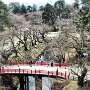 Hirosaki Park - Castle Tower View