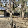Kakunodate - Samurai District