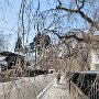 Kakunodate - Samurai District