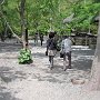 Kamakura - Kotoku-in