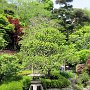 Kamakura - Hasedera
