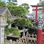 Kamakura - Hachimangu