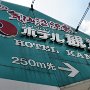 Kesennuma - Bay Front Walk