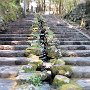 Nikko - Shrine & Temple Area