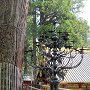 Nikko - Shrine & Temple Area - Toshugo Candelabra