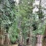 Nikko - Shrine & Temple Area - Toshugo