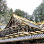 Nikko - Shrine & Temple Area - Toshugo