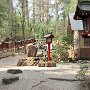Nikko - Shrine & Temple Area - Futarasan