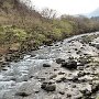 Nikko