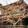 Nikko - Imperial Villa