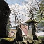 Nikko