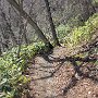 Noboribetsu - Jigokudani - Trail from Oyunuma