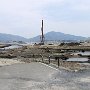 Rikuzentakata - Remnants of Pine Forest