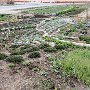Rikuzentakata - Two Miles from Ocean - Memorial Garden