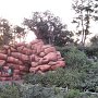 Tokyo Disneyland - Westernland - View from Mark Twain