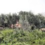 Tokyo Disneyland - Westernland - Tom Sawyer Island