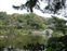 Shukkeien Garden